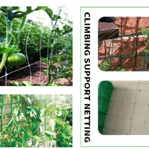 Climbing Support Netting