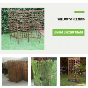 Willow screening