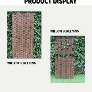 Willow screening