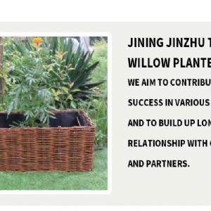 Willow planters
