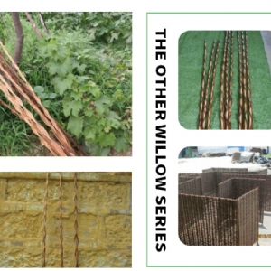 The other willow series